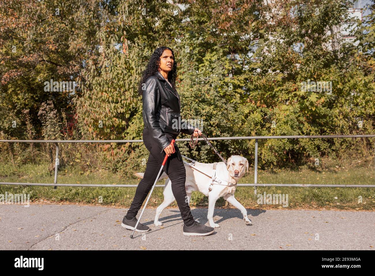 Sehbehinderte Frau, die mit Blindenhund läuft Stockfoto