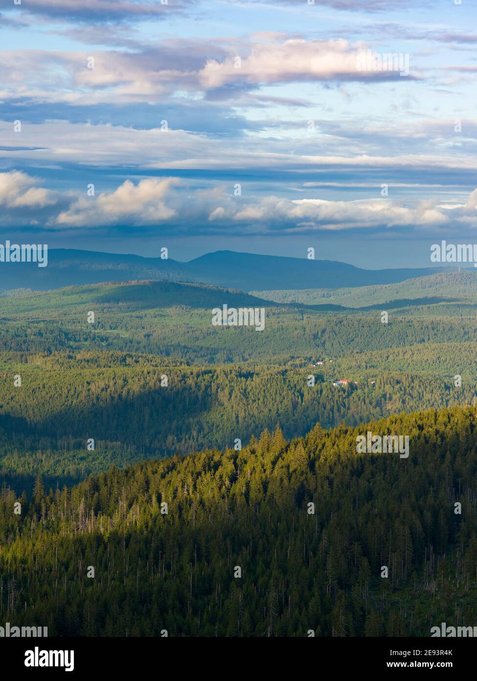 Blick vom Gipfel des Mt. Lusen im Nationalpark Bayerischer Wald (NP Bayerischer Wald). Europa, Deutschland, Bayern Stockfoto