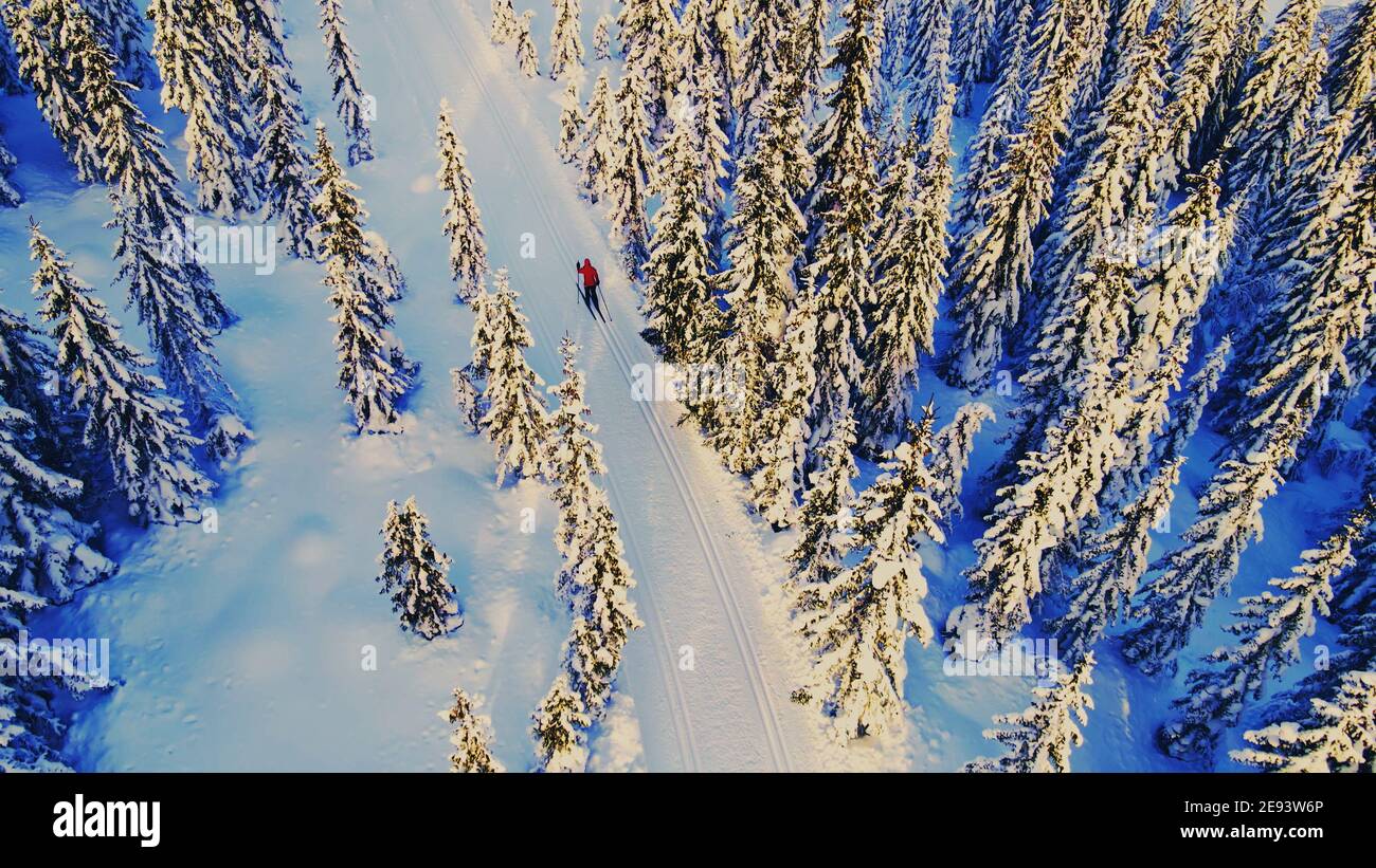 Frau Skilanglauf durch ein idyllisches Winterwunderland. Stockfoto