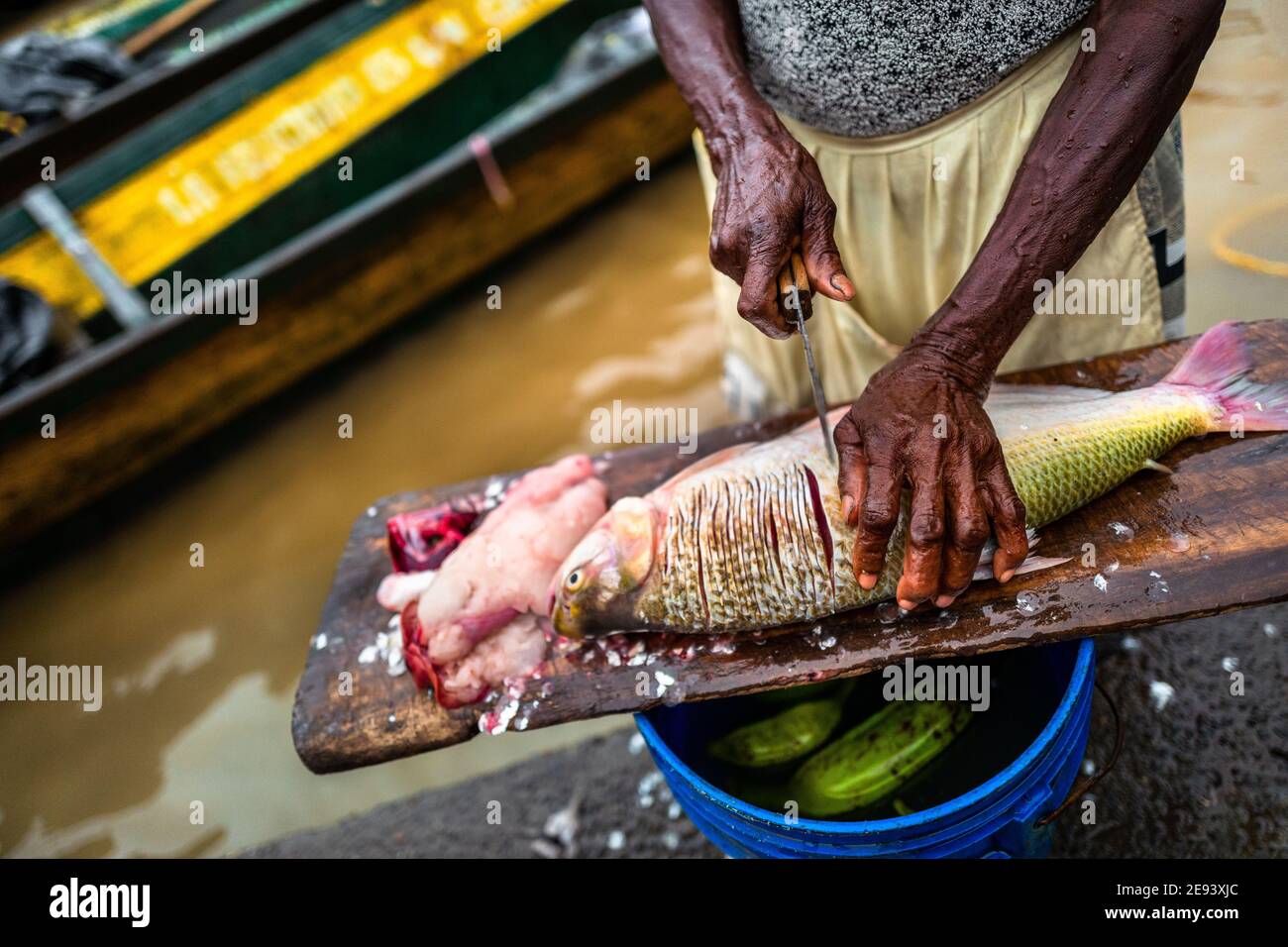 Ein afro-kolumbianischer Händler bereitet einen Fisch für den Verkauf auf dem Markt des Flusses Atrato in Quibdó, Chocó, der pazifischen Region Kolumbiens, vor. Stockfoto