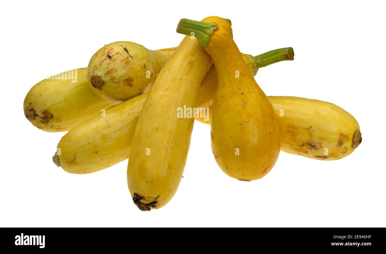 Seitenansicht einer Gruppe von hausgewachsenen gelben Sommer Squash isoliert auf einem weißen Hintergrund. Stockfoto