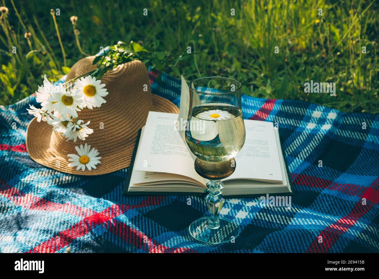 Französisches Sommerpicknick mit Kamille und Croissants auf einem Kariertes Karomoniertes Karomoniertes am sonnigen Tag Stockfoto