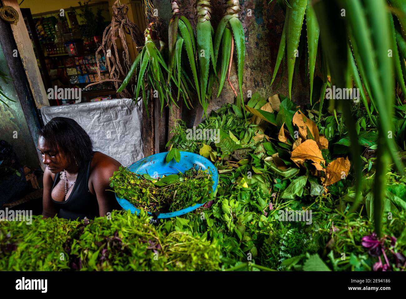 Ein afro-kolumbianischer Verkäufer verkauft Heilkräuter und Aloe Vera Pflanzen auf einem Straßenmarkt entlang des Flusses Atrato in Quibdó, Chocó, Kolumbien. Stockfoto