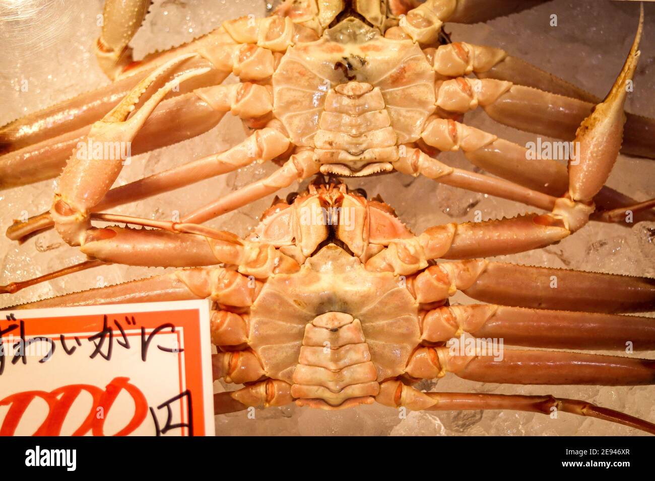 Diese Fotoserie möchte die verschiedenen Szenarien in Japan während eines zweiwöchigen Urlaubs durch die größte Insel Honshu hervorheben. Stockfoto