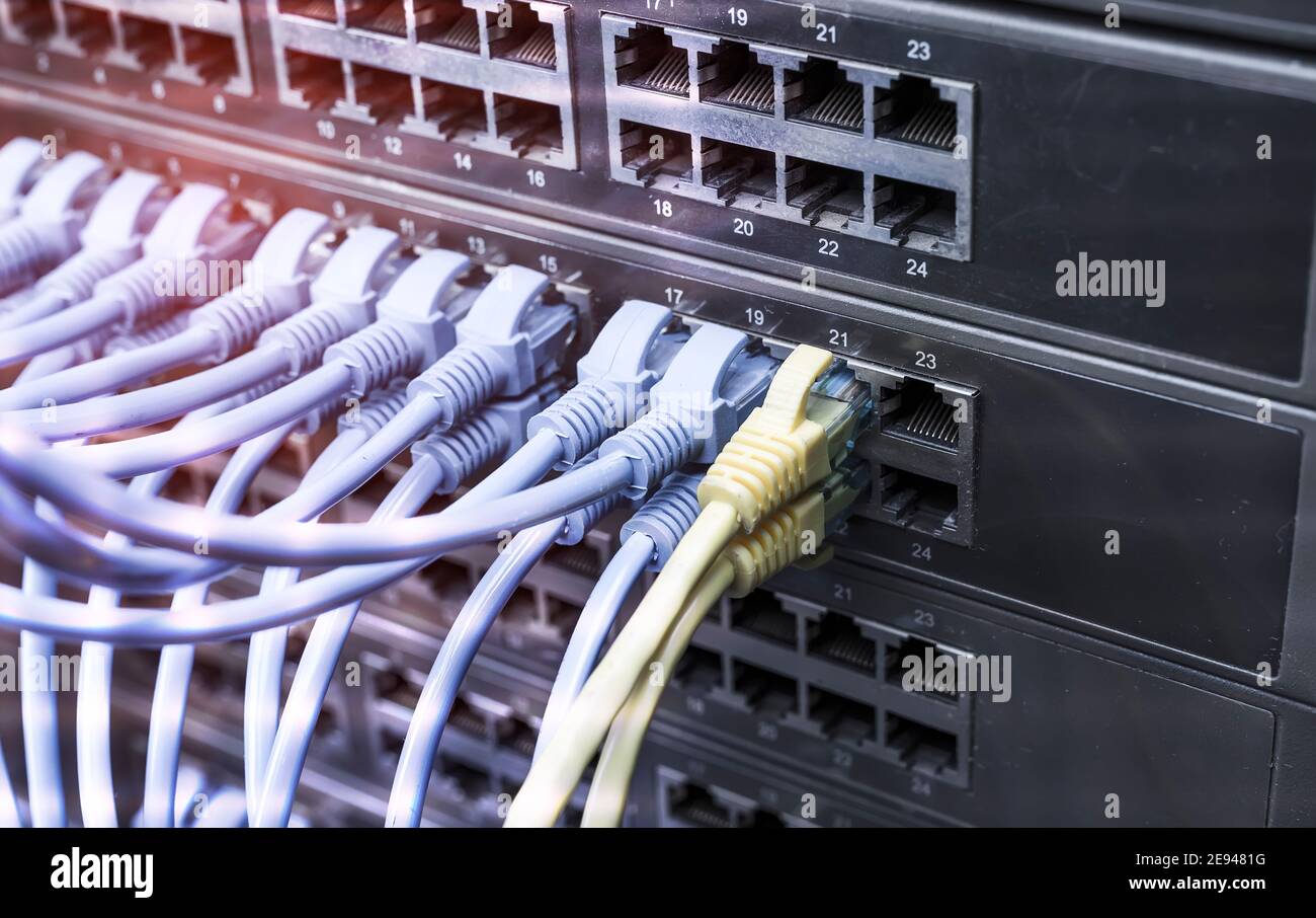 Netzwerkkabel für den Anschluss am Netzwerkswitch Kern hautnah Stockfoto