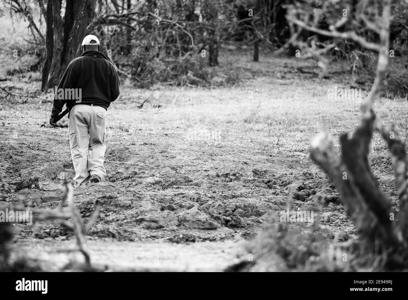 SABI SAB, - Jan 05, 2021: Sabi Sabi, Südafrika - July 4, 2012: Safari Guides Tracking Tiere in einem Naturschutzgebiet Stockfoto