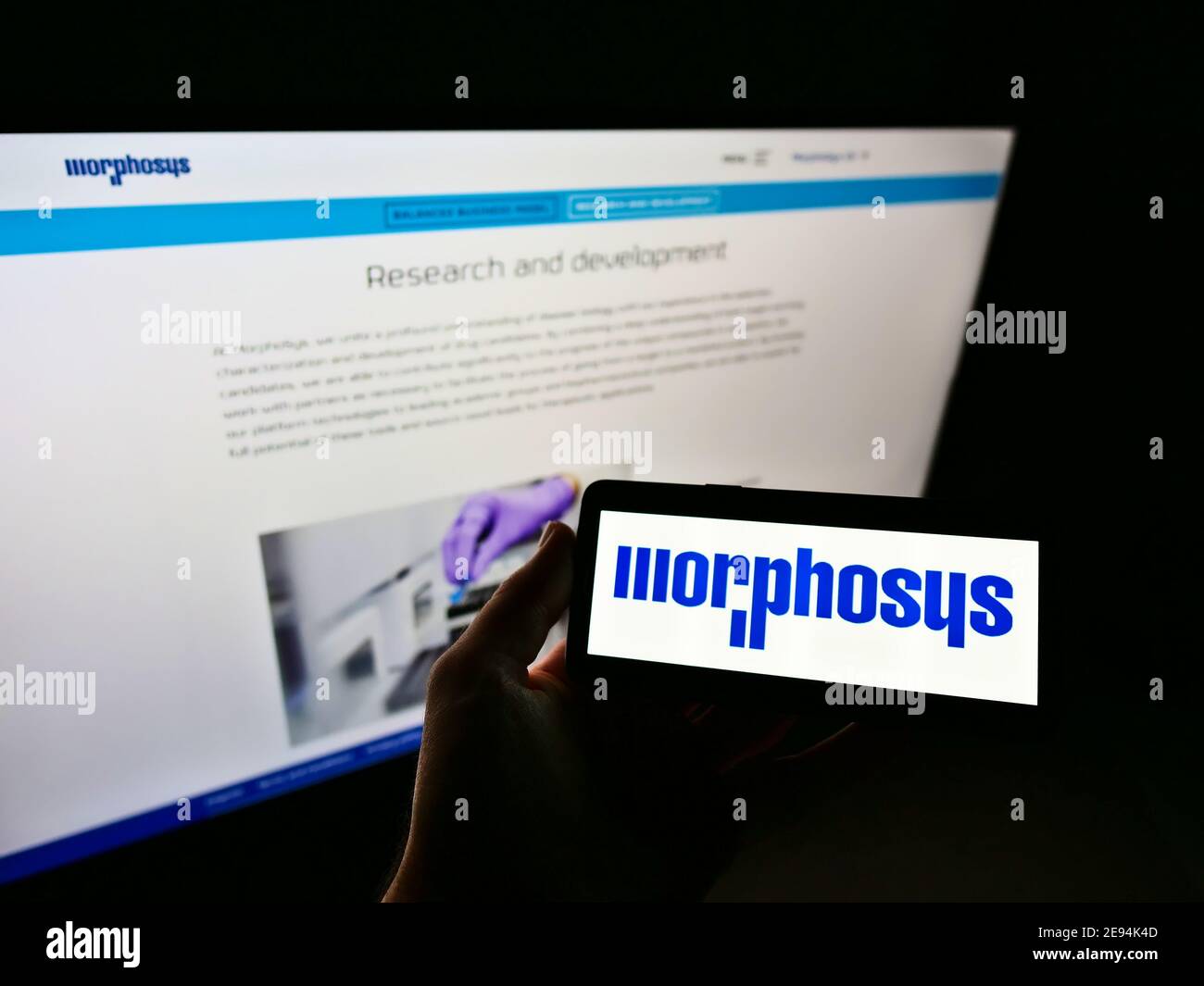 Person mit Mobiltelefon mit Logo des deutschen Biotechnologie-Unternehmens MorphoSys AG auf dem Display vor der Webseite. Fokus auf Handy-Bildschirm. Stockfoto