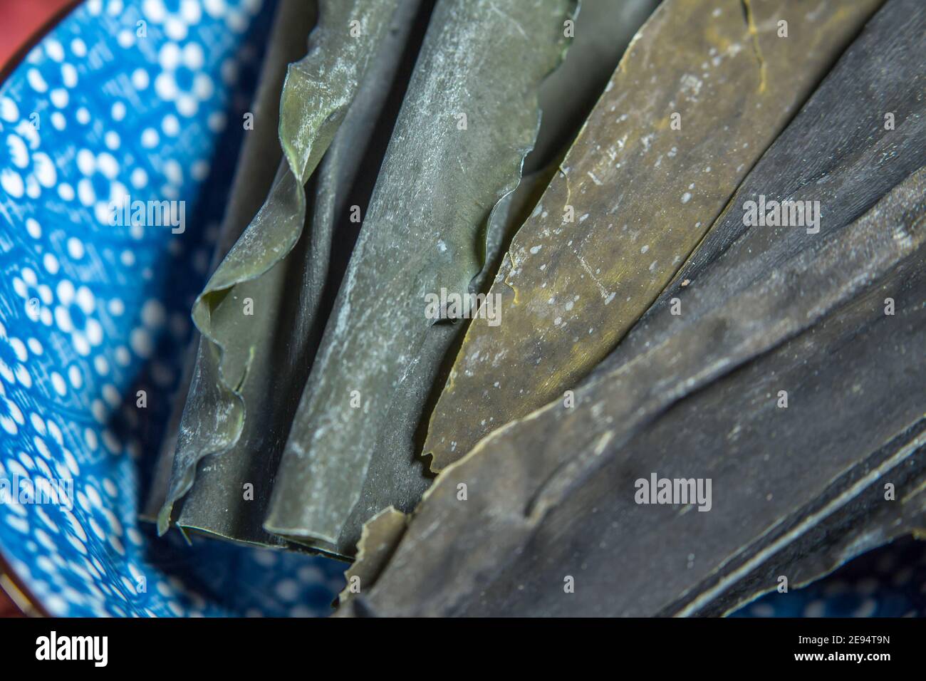 Japanische Küche, essbare Algen: Kombu Stockfoto