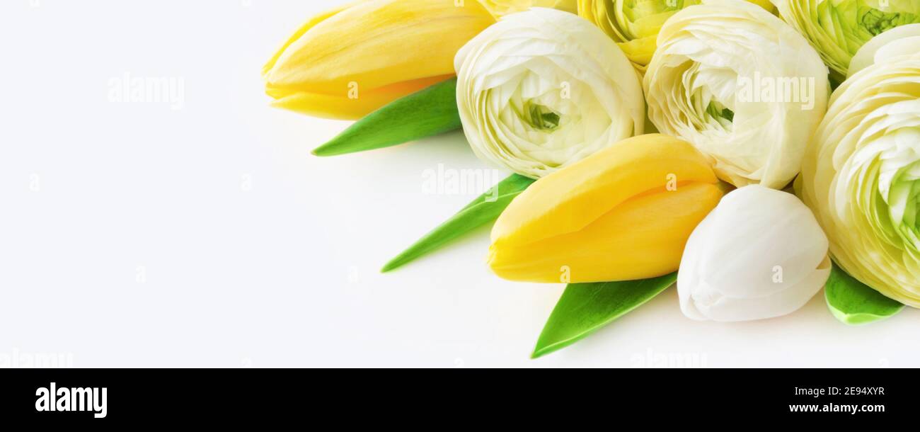 Tulpen und Ranunkeln aus nächster Nähe Stockfoto
