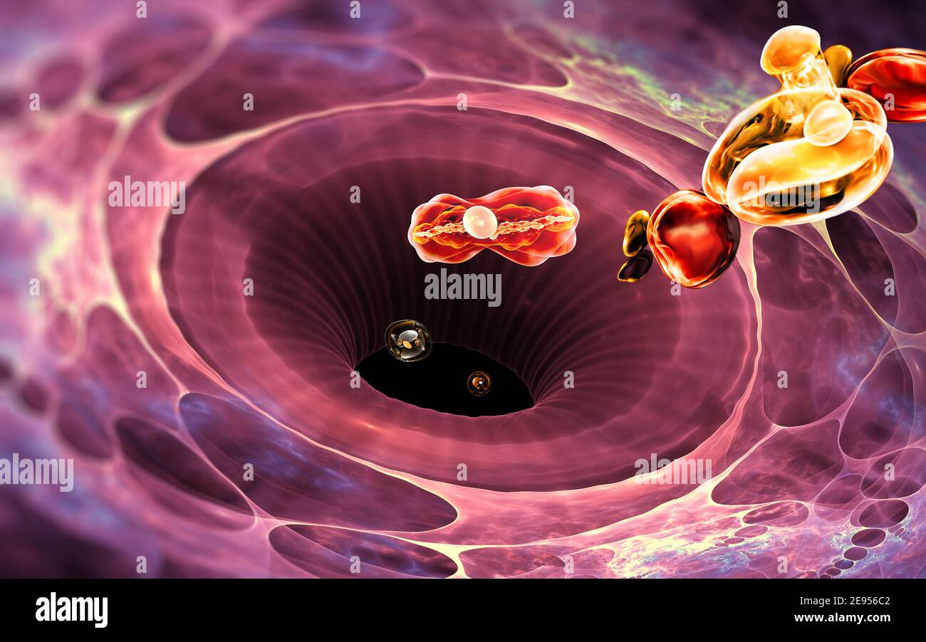 Immunsystemzelle. Weiße Blutkörperchen frisst Bakterien. 3D Abbildung Stockfoto