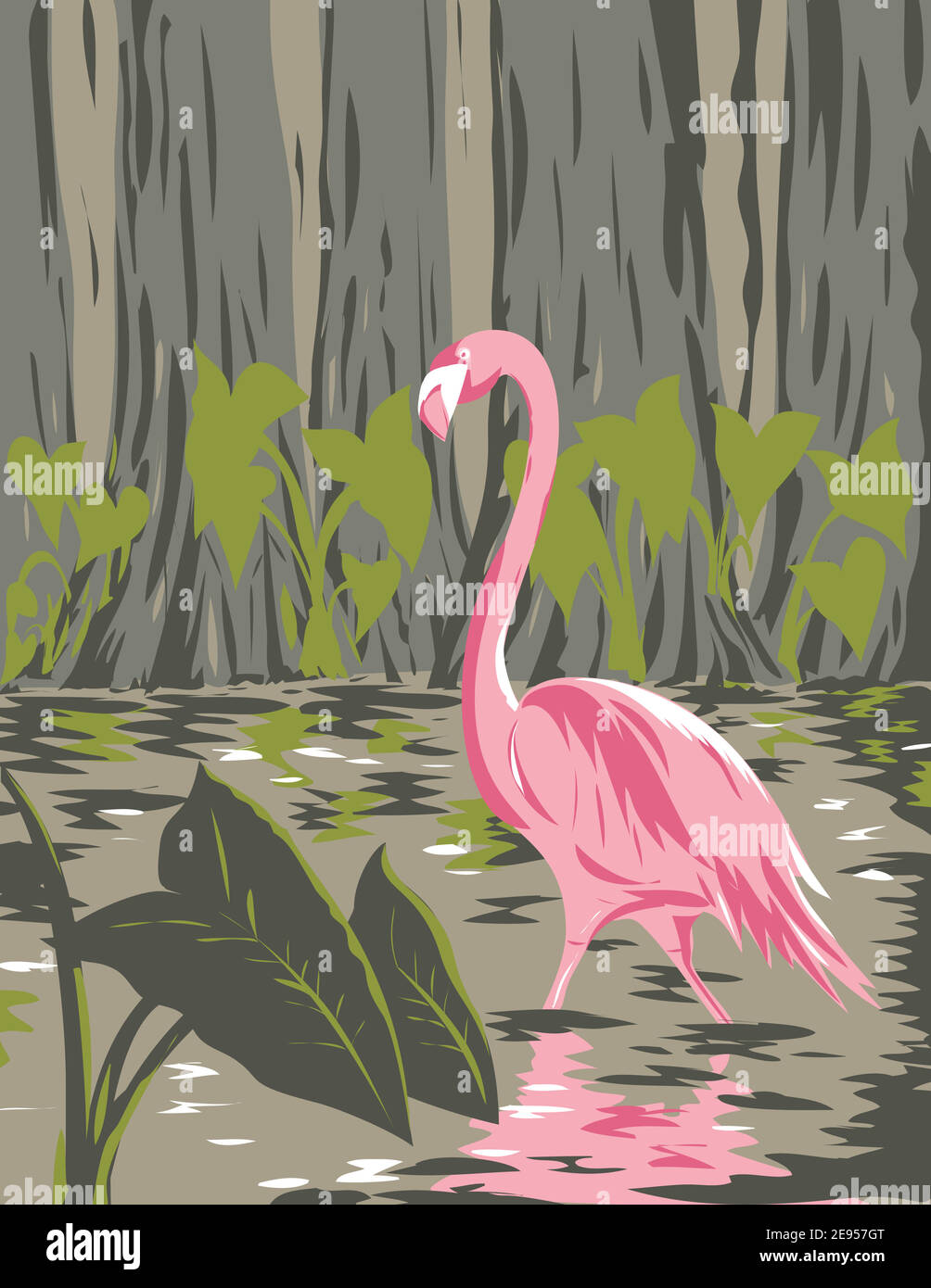 WPA Plakatkunst eines Flamingos in den Feuchtgebieten, Sümpfen und Sümpfen des Everglades National Park in Florida USA in Works-Projekt verwaltet Stock Vektor