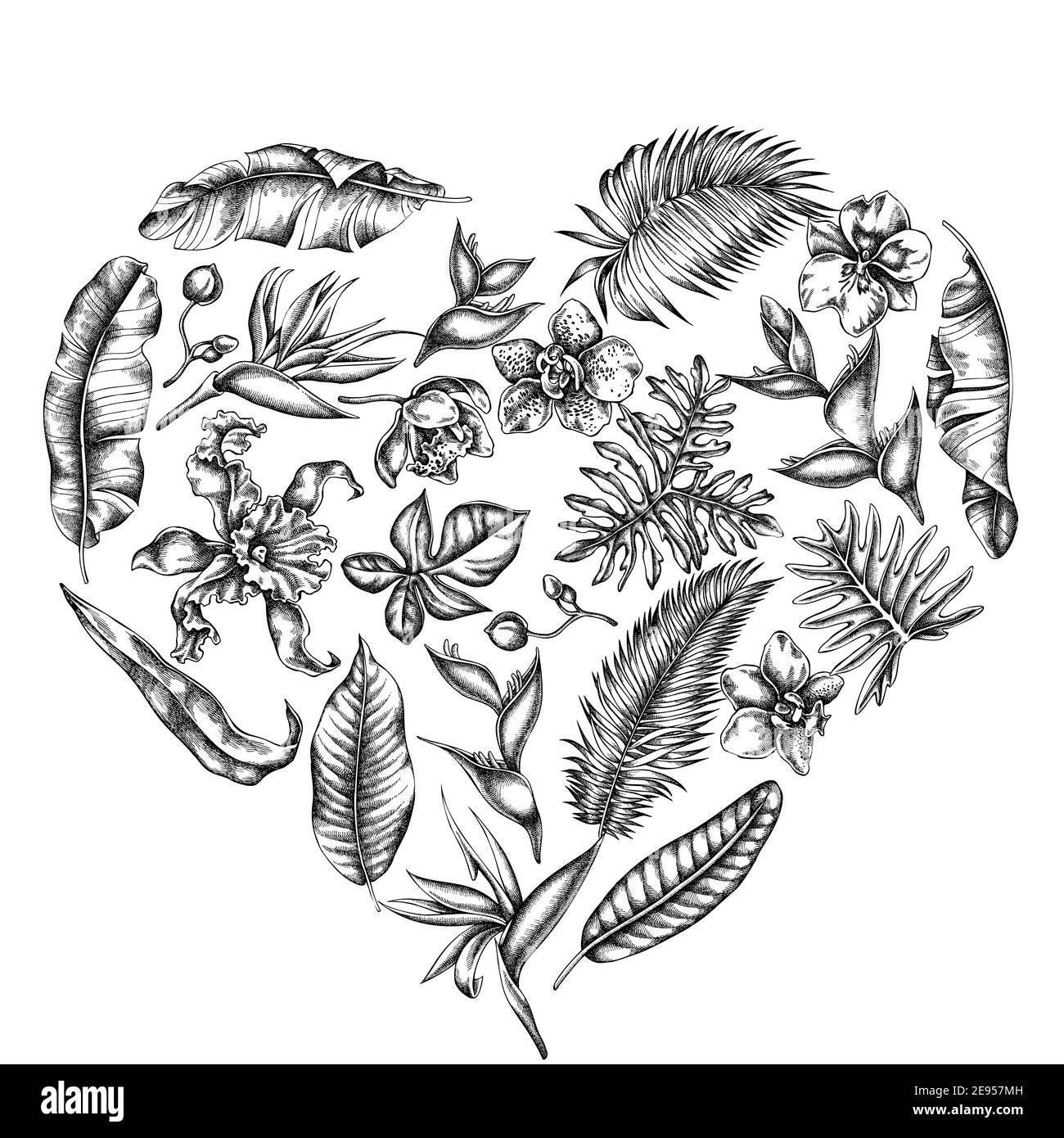 Herz florales Design mit schwarzen und weißen Monstera, Bananenpalmenblättern, strelitzia, Heliconia, tropischen Palmenblättern, Orchidee Stock Vektor