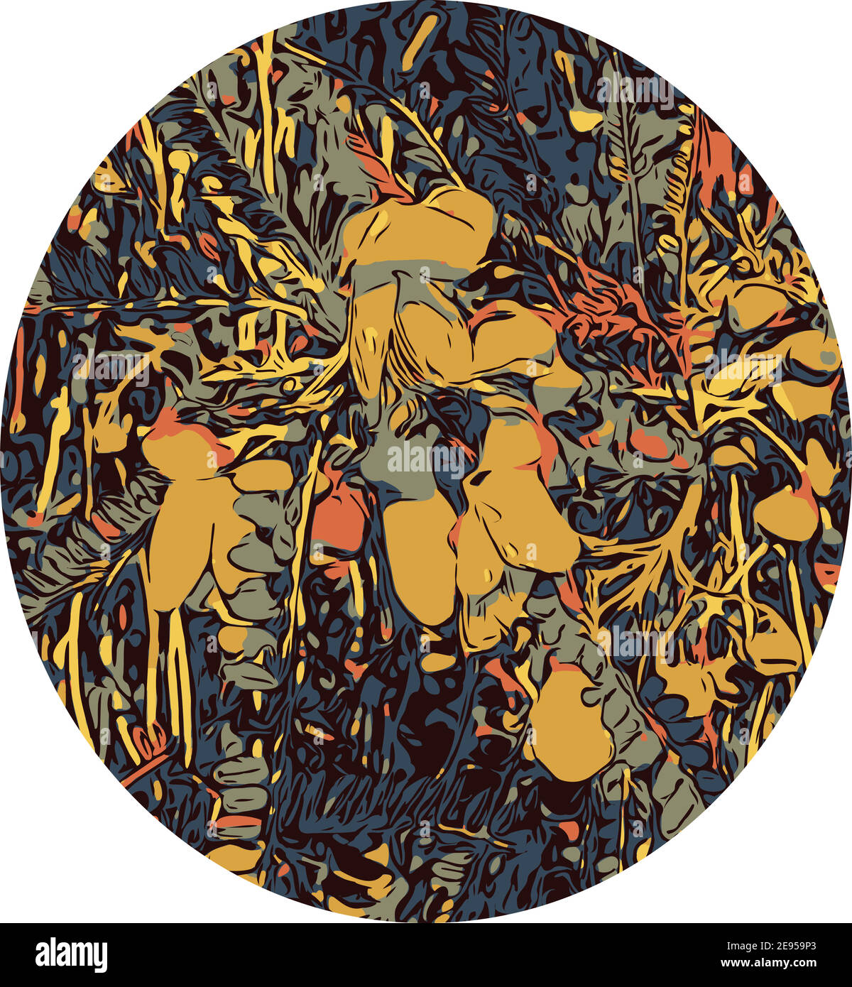 Linie Kunst Zeichnung Illustration der Blume von Kowhai, einem kleinen holzigen Hülsenbäume innerhalb der Gattung Sophora, die in Neuseeland in vollem Umfang CO getan sind Stock Vektor