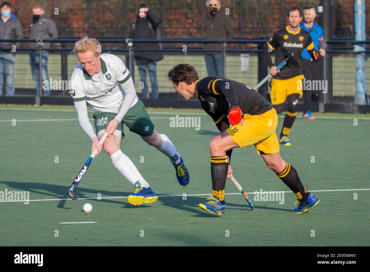 DEN B.Sc., NIEDERLANDE - JANUAR 31: Tjep Hedemakers aus Rotterdam beim holländischen Eishockey Tulp Hoofdklasse Spiel zwischen HC Den Bosch und HC Rotterda Stockfoto