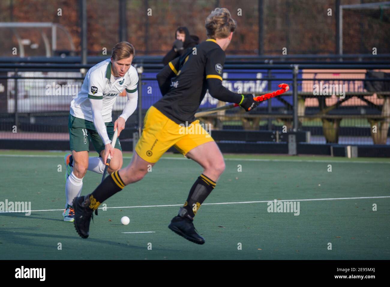 DEN B.Sc., NIEDERLANDE - JANUAR 31: Jochem Bakker aus Rotterdam beim holländischen Eishockey Tulp Hoofdklasse Spiel zwischen HC Den Bosch und HC Rotterdam A Stockfoto