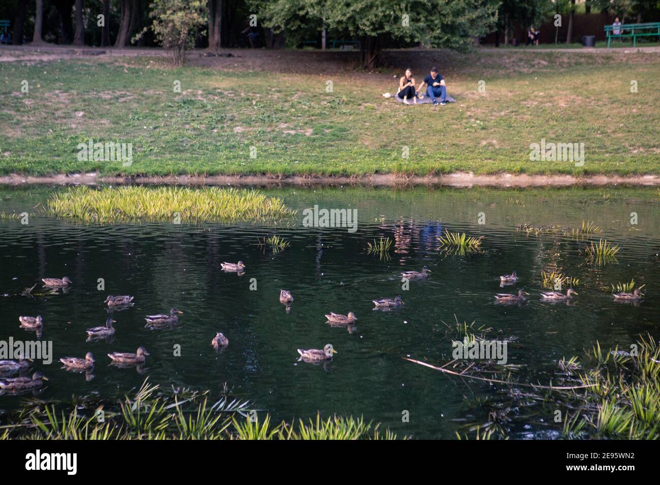 Lviv, Ukraine - 28. August 2020: Menschen, die in der Nähe von See in der Stadt öffentlichen Park Kopie Platz. Blick auf Enten Stockfoto