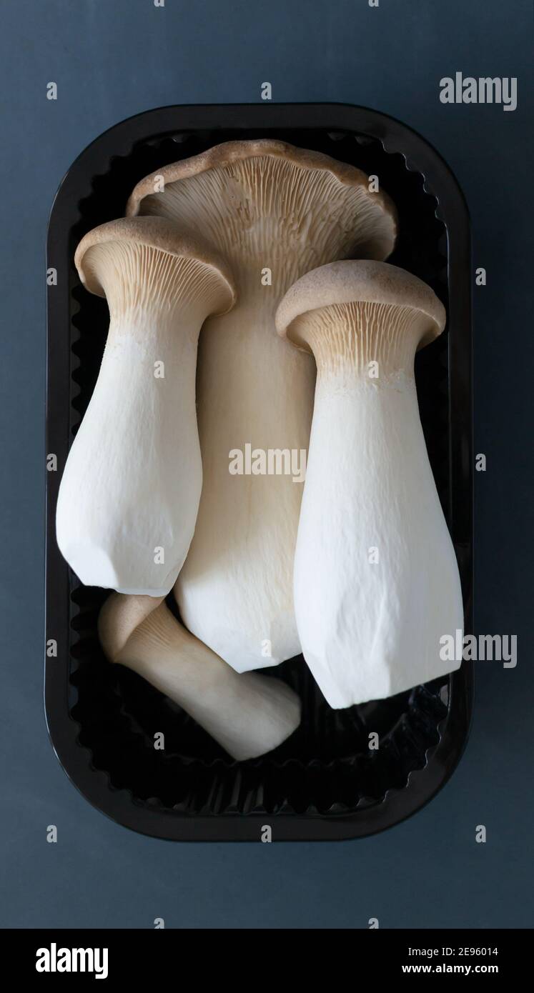 Eringi Pilze in Kunststoffverpackung auf grauem Hintergrund. Pleurotus eringi. Vegetarisches Essen Konzept. Flat Lay Stockfoto