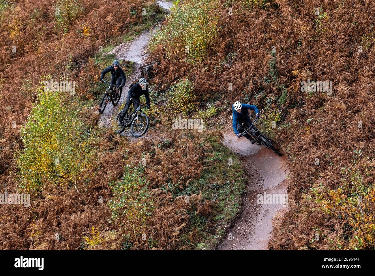 Drei Männer fahren Mountainbikes auf einem Trail ein herbstlicher Tag auf Cannock Chase in Staffordshire. Stockfoto
