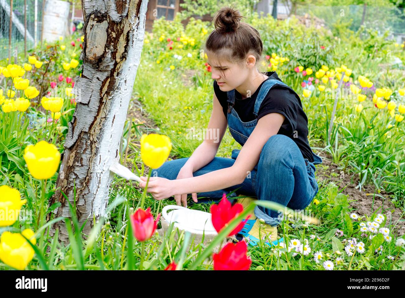 Mädchen Landwirt weiß einen Baum. Frühling landwirtschaftliche Arbeit. Gärtner im Garten. Obstbaumpflege. Kirschen und Apfelbäume im Frühling. Gartenarbeit und Stockfoto