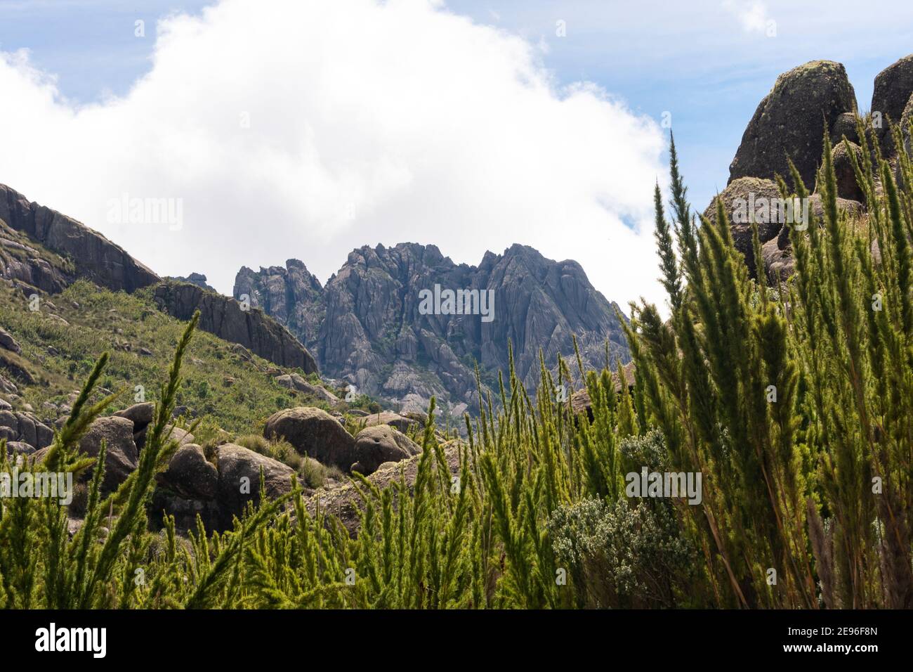 Brasilianische Berglandschaft im Itatiaia Nationalpark Stockfoto