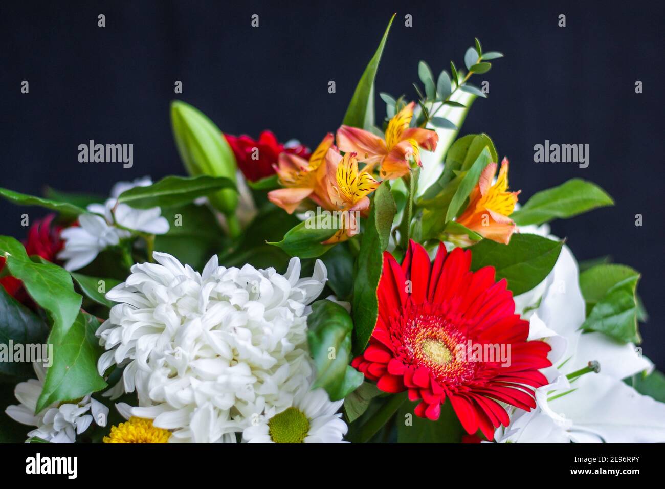 Helles Bouquet von gerbera Chrysantheme Lilien grüne Blätter auf einem dunklen Hintergrund Nahaufnahme. Festliche Karte mit floralem Hintergrund für jeden Anlass. Stockfoto