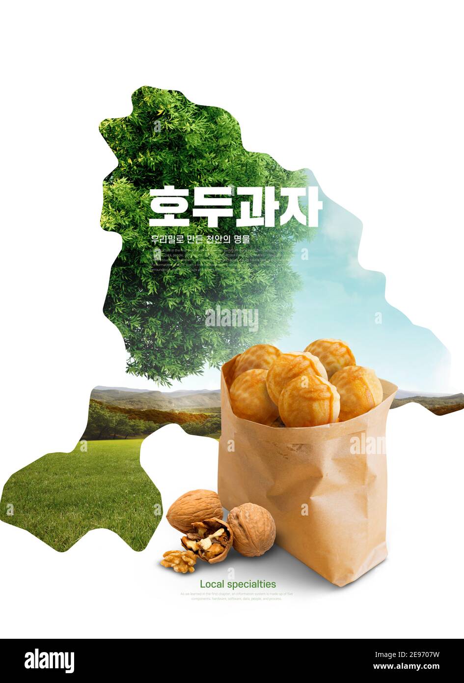 Hallabong, bekanntes Produkt aus Cheon an, Korea Stockfoto