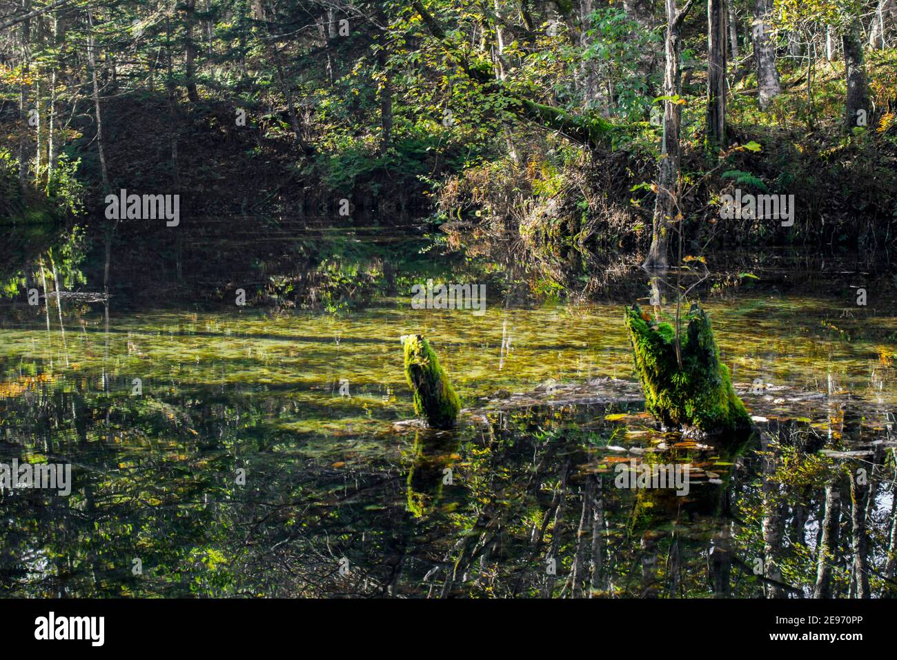 Ein schöner und geheimnisvoller Teich 'Kaminokoike' umgeben von der Natur Und Grün von Hokkaido Stockfoto