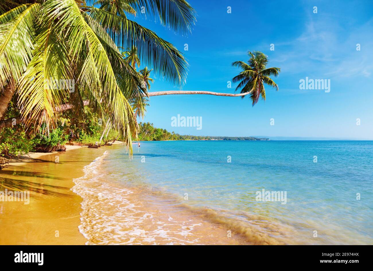 Tropischer Strand, Mak Island, Thailand Stockfoto