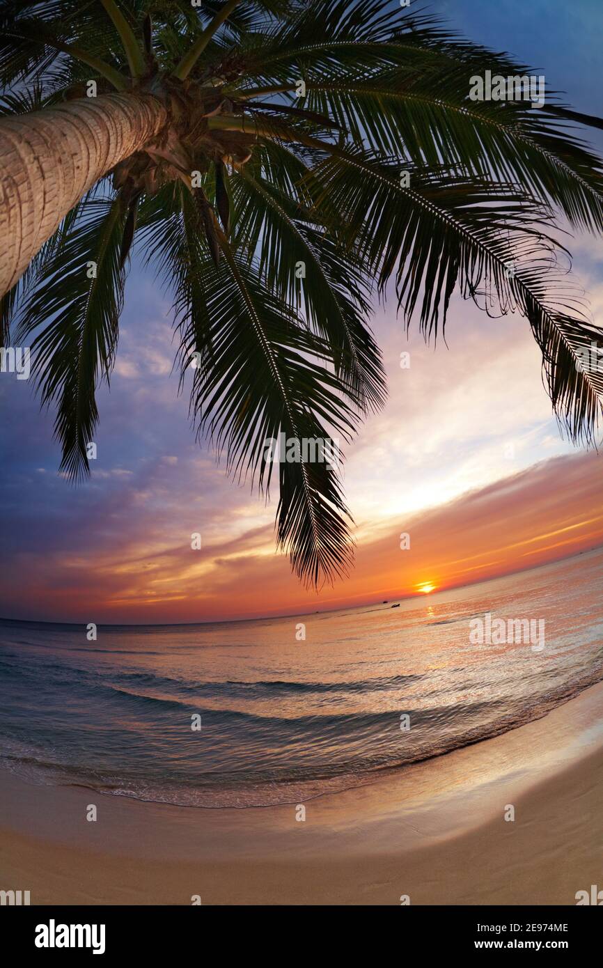 Tropischer Strand, Chang Insel, Thailand, Fischauge erschossen Stockfoto