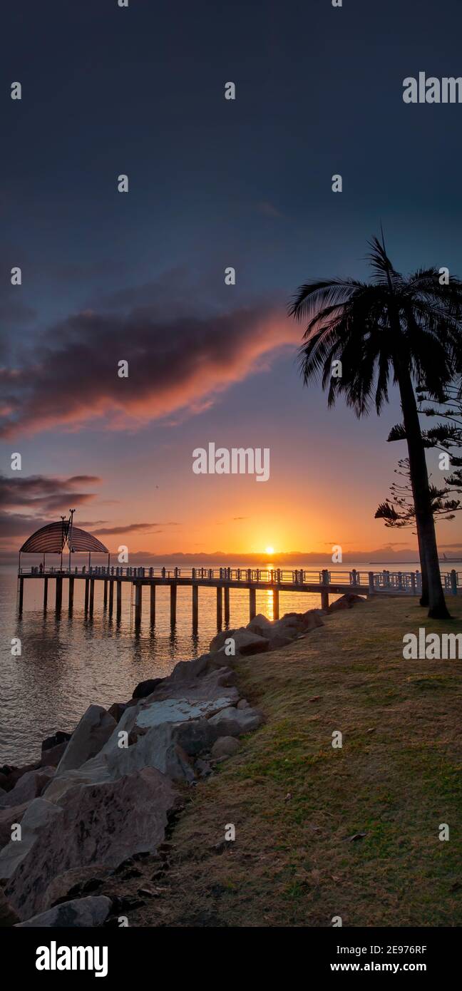 Malerisches, vertikales Panorama eines blauen Sonnenaufgangs einer berühmten Palme und des Strand-Segelpiers am Wellenbrecher von Townsville in Queensland, Australien. Stockfoto