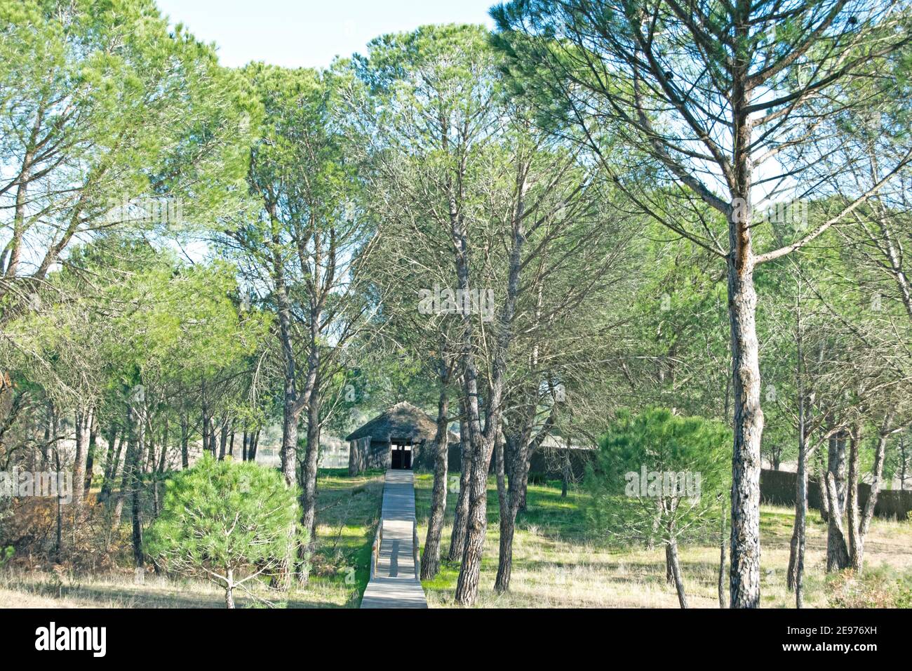 Hütten oder traditionelle Wohnungen von den Rocieros im Nationalpark Doñana, El Rocío, Almonte, Andalusien, Spanien bewohnt Stockfoto