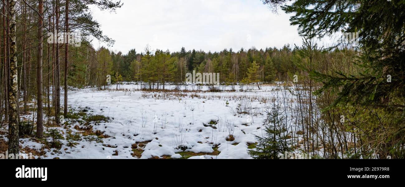 Moorland bei amaliendorf in der niederösterreichischen Region waldviertel Stockfoto
