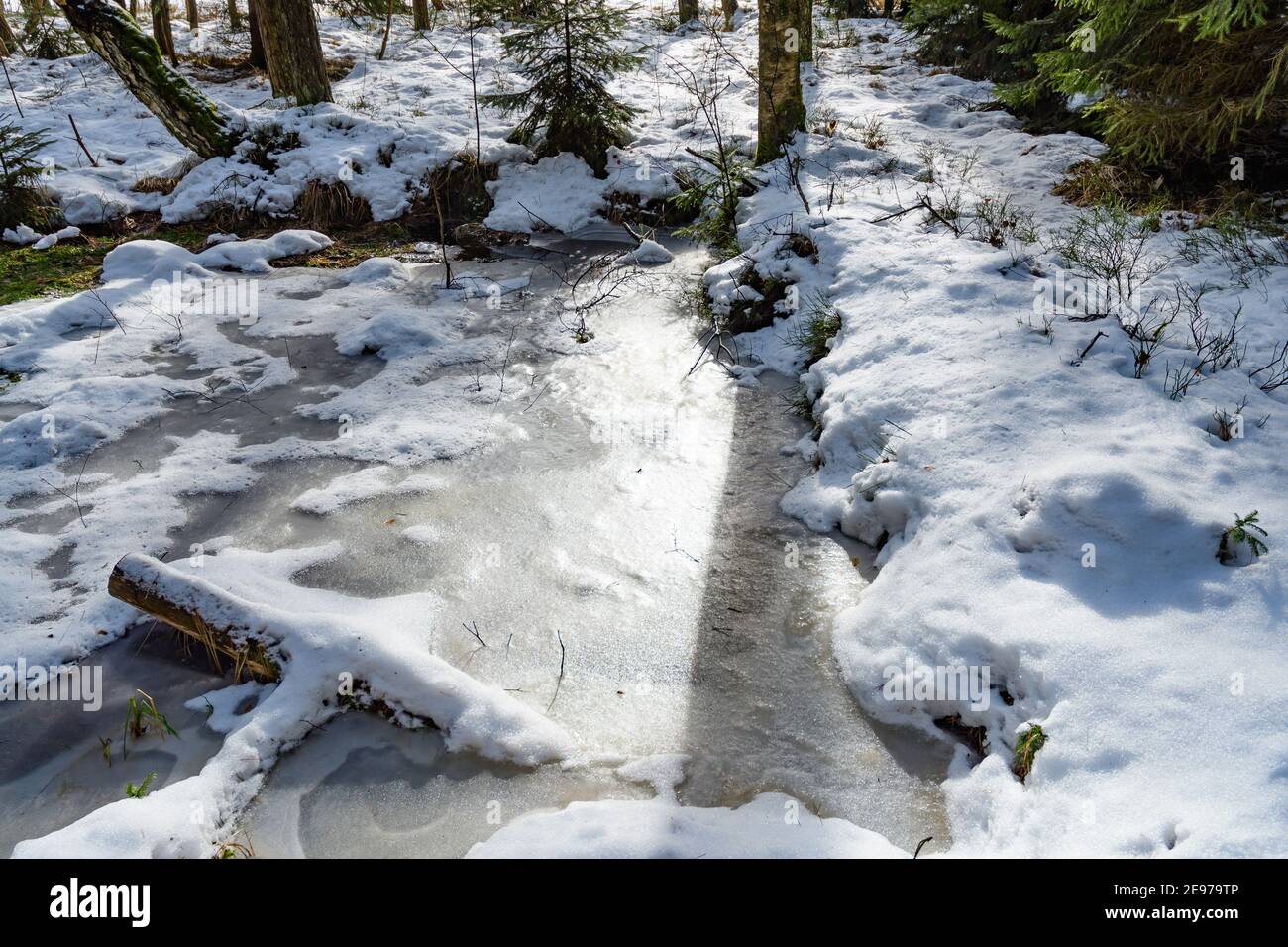 Moorland bei amaliendorf in der niederösterreichischen Region waldviertel Stockfoto