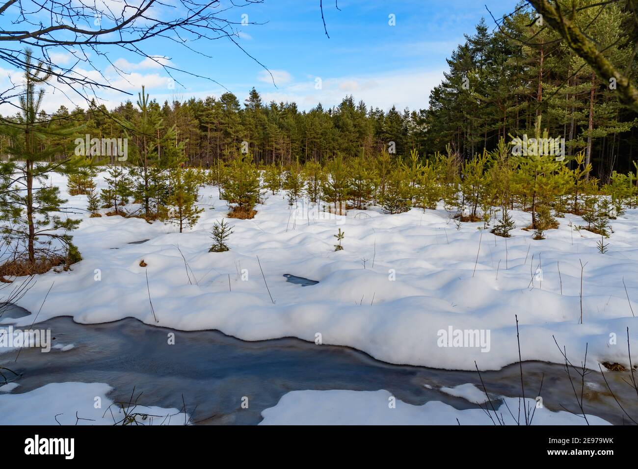 Moorland bei amaliendorf in der niederösterreichischen Region waldviertel Stockfoto