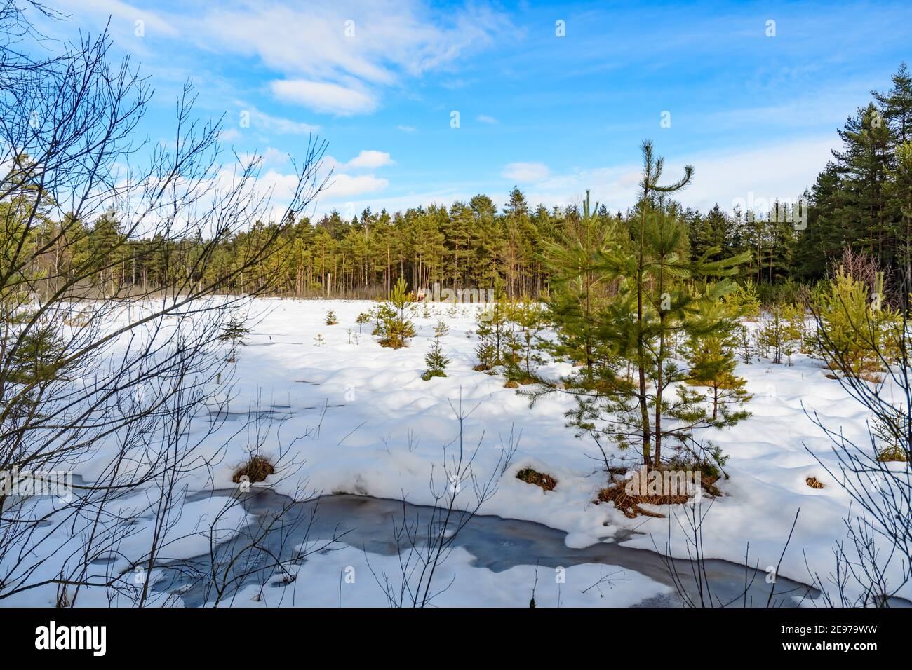 Moorland bei amaliendorf in der niederösterreichischen Region waldviertel Stockfoto