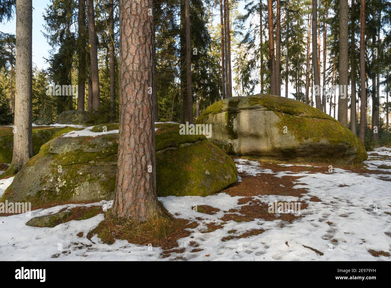 Wobblestones bei amaliendorf im niederösterreichischen waldviertel Stockfoto