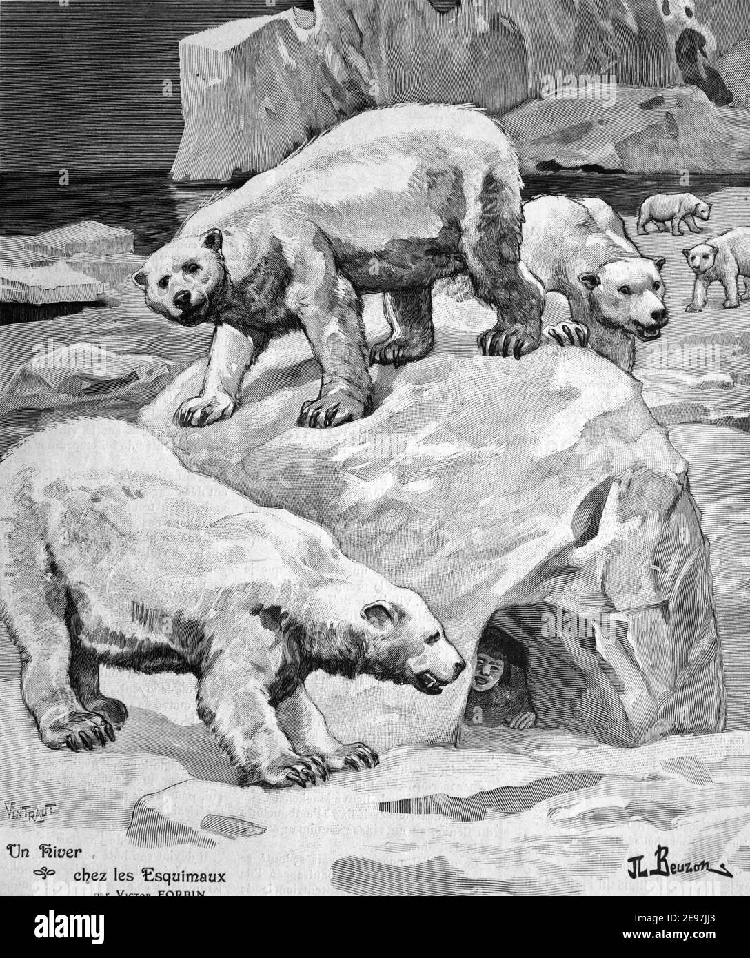 Eisbärengruppe, Ursus maritimus, Prowl um einen Iglu 1911 Vintage Illustration oder Gravur Stockfoto