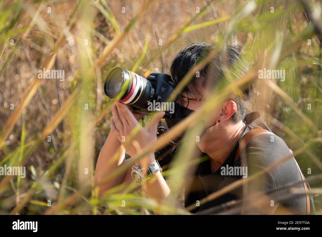 Fotograf, der mit einem Zoomobjektiv fotografiert, das teilweise von hohem Gras in einem Feld in Fanling, New Territories - Hong Kong versteckt ist Stockfoto