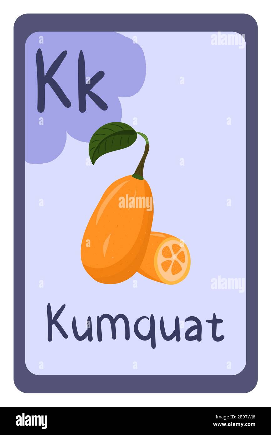 ABC Bildung Flash-Karte in Cartoon-Stil auf bunten Hintergrund. Buchstabe K - Kumquat. Orangenfrucht. Vektorgrafik Alphabet. Stock Vektor