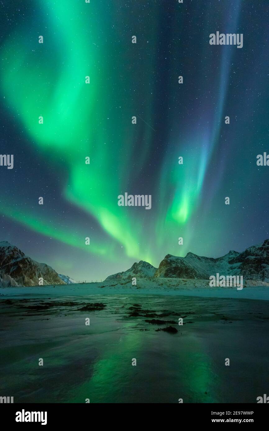 Nordlichter am Nachthimmel. Aurora Borealis über Skagsanden Strand auf den Lofoten Inseln