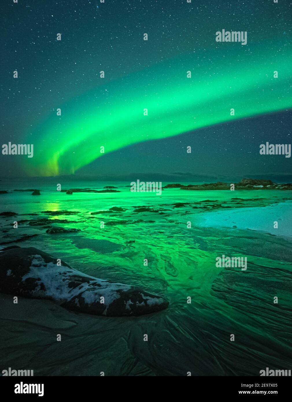 Nordlichter am Nachthimmel. Aurora Borealis über Skagsanden Strand auf den Lofoten Inseln
