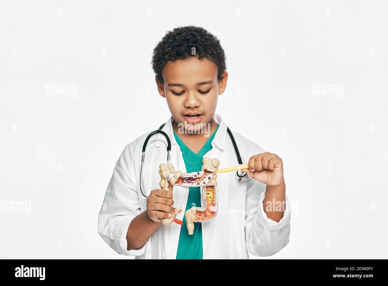 Afroamerikanischer Junge während des Lernens der menschlichen Anatomie, hält ein anatomisches Darmmodell, um Körperstruktur zu studieren Stockfoto