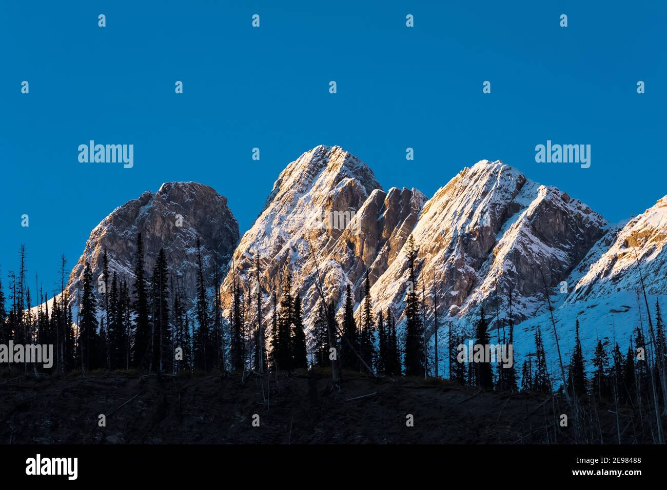 Dramatisches Morgenlicht auf schneebedeckten Gipfeln in der Nähe von Floe Lake, dem Rockwall im Kootenay National Park in den kanadischen Rockies, British Columbia, Kanada Stockfoto