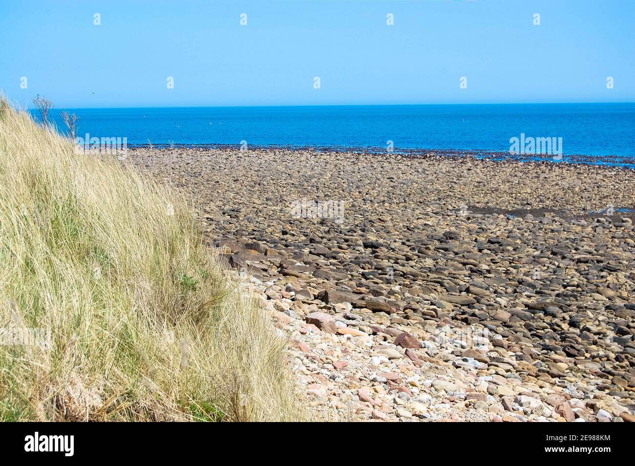 Northumberland Strandsteine Sandblick Gras Sommerwetter Aussenblick Meer blauer Himmel Schatten zerklüftete ruhige See Schatten Schatten Stockfoto