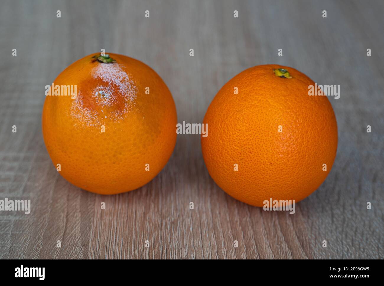 Ein schimmeliger Schimmel und eine frische Orangenfrucht auf Holz Tabelle Stockfoto