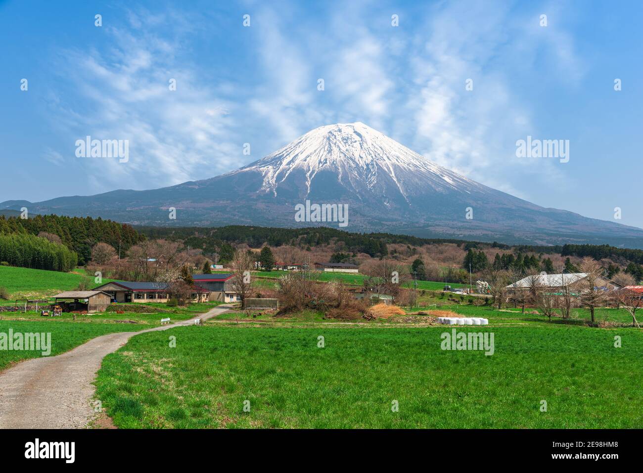 Mt. Fuji und landwirtschaftliches Ackerland in der Präfektur Shizuoka, Japan. Stockfoto