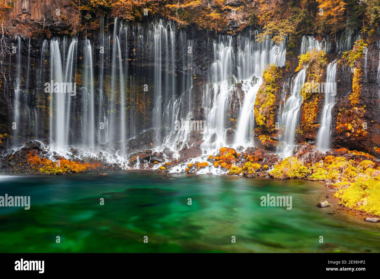 Shiraito Falls in Fujinomiya, Japan mit Herbstfarben. Stockfoto