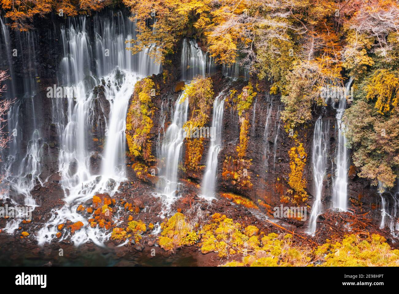 Shiraito Falls in Fujinomiya, Japan mit Herbstfarben. Stockfoto