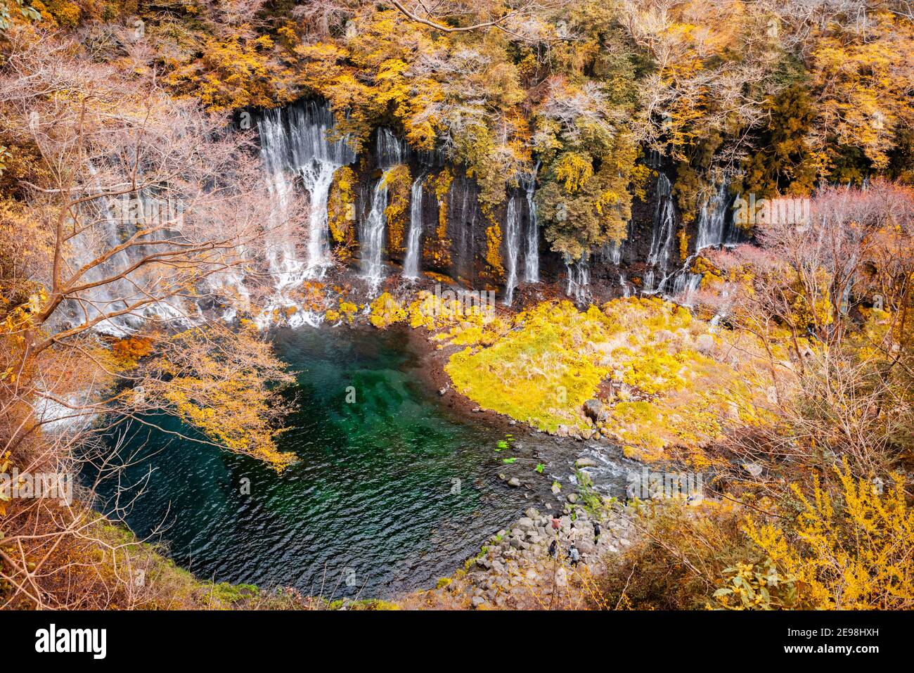 Shiraito Falls in Fujinomiya, Japan mit Herbstfarben. Stockfoto