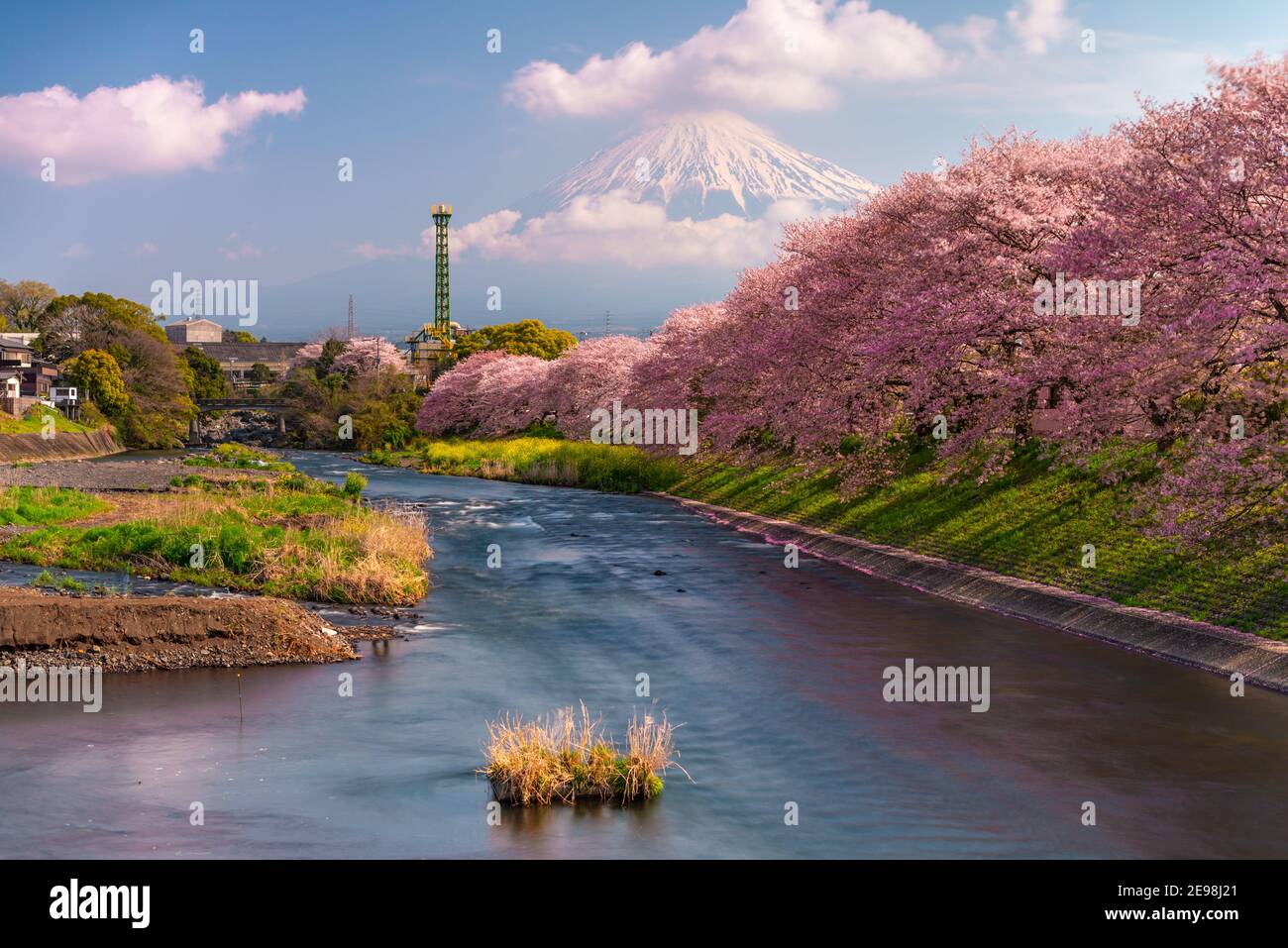 Mt. Fuji, Japan Frühlingslandschaft und Fluss. Stockfoto